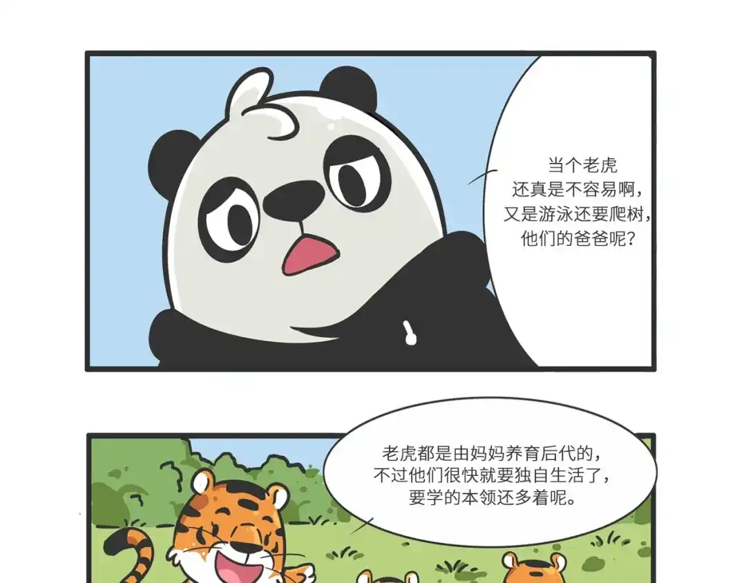 熊猫君&黄逗菌可持续生活志第二季 明日之星“达米尔” 第20页