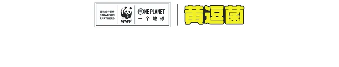 熊猫君&黄逗菌可持续生活志第二季 科普番外——印度支那虎 第5页