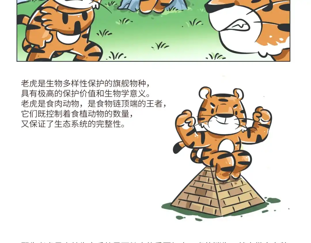 熊猫君&黄逗菌可持续生活志第二季 科普番外——印度支那虎 第3页
