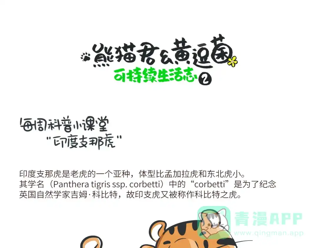 熊猫君&黄逗菌可持续生活志第二季 科普番外——印度支那虎 第1页