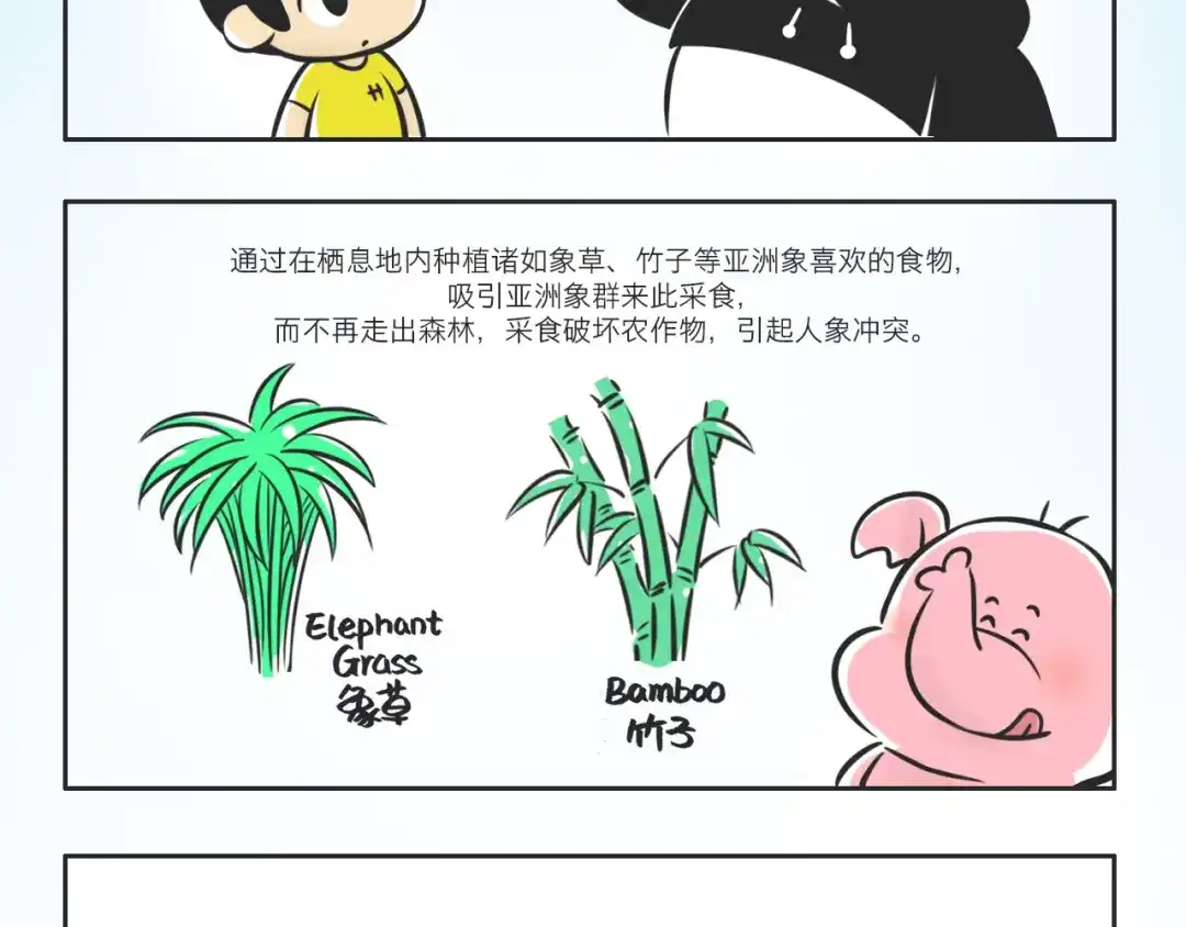 熊猫君&黄逗菌可持续生活志第二季 什么是大象食堂？ 第2页