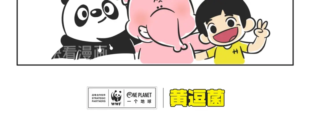 熊猫君&黄逗菌可持续生活志第二季 什么是大象食堂？ 第4页