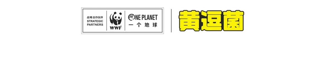 熊猫君&黄逗菌可持续生活志第二季 走丢的“熊猫君” 第20页