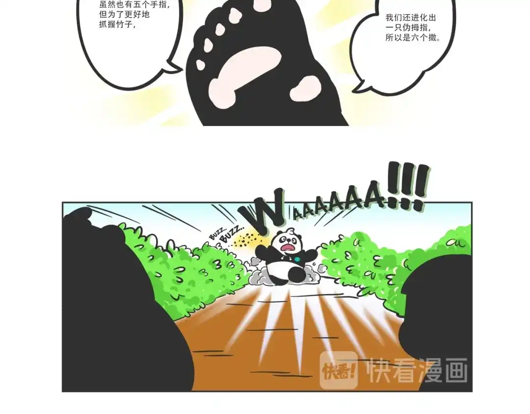 熊猫君&黄逗菌可持续生活志第二季 走丢的“熊猫君” 第13页