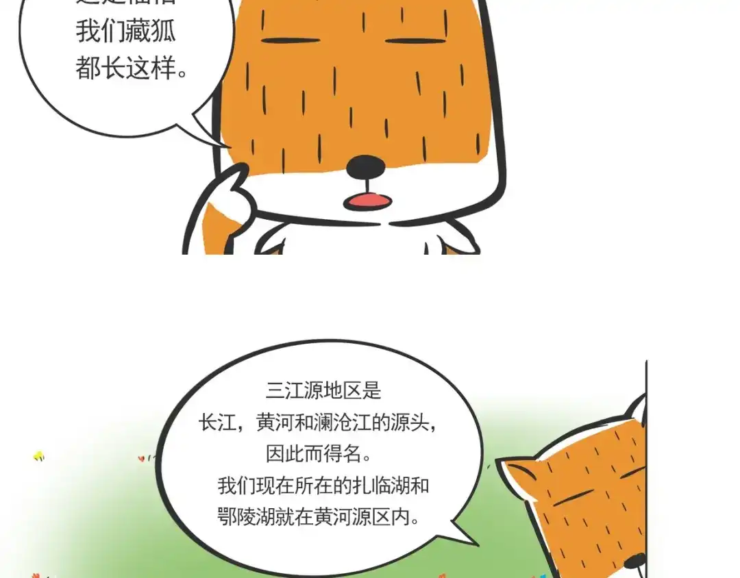 熊猫君&黄逗菌可持续生活志第二季 方脸向导“胡一万” 第5页