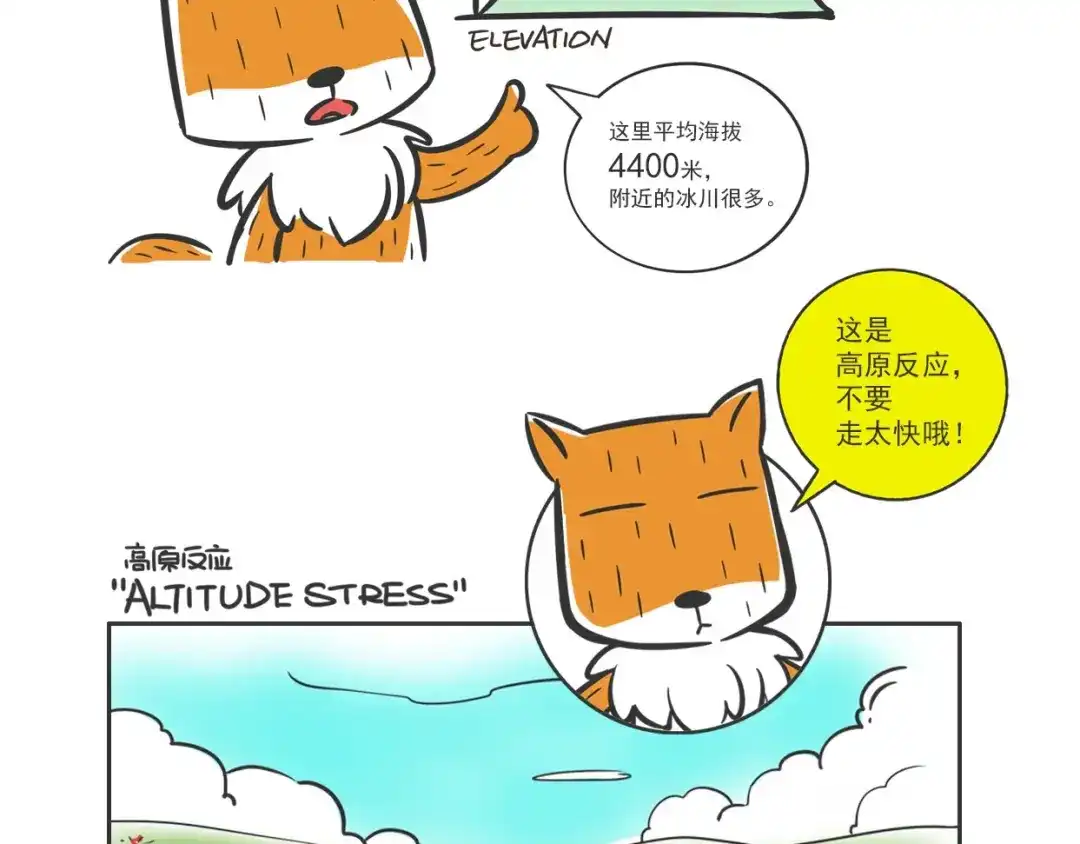 熊猫君&黄逗菌可持续生活志第二季 方脸向导“胡一万” 第10页