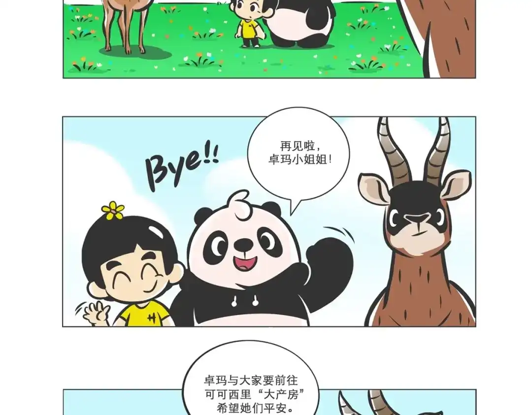 熊猫君&黄逗菌可持续生活志第二季 高原精灵“卓玛”和“桑吉” 第13页