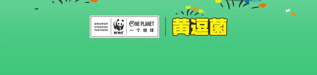熊猫君&黄逗菌可持续生活志第二季 高原精灵“卓玛”和“桑吉” 第22页