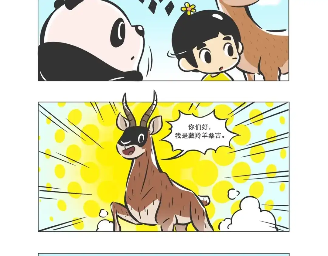 熊猫君&黄逗菌可持续生活志第二季 高原精灵“卓玛”和“桑吉” 第9页