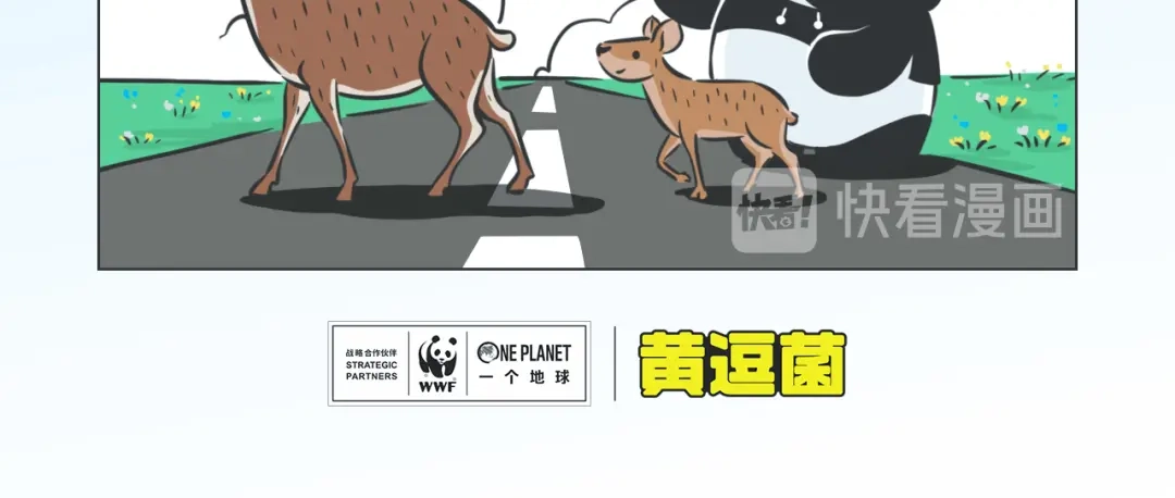 熊猫君&黄逗菌可持续生活志第二季 科普番外——藏羚羊的迁徙之旅 第4页