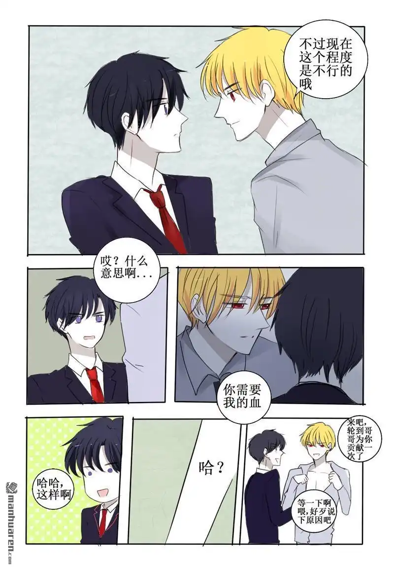 《兄长大人请吸血》第24回 请你坦率一点吧 第12页