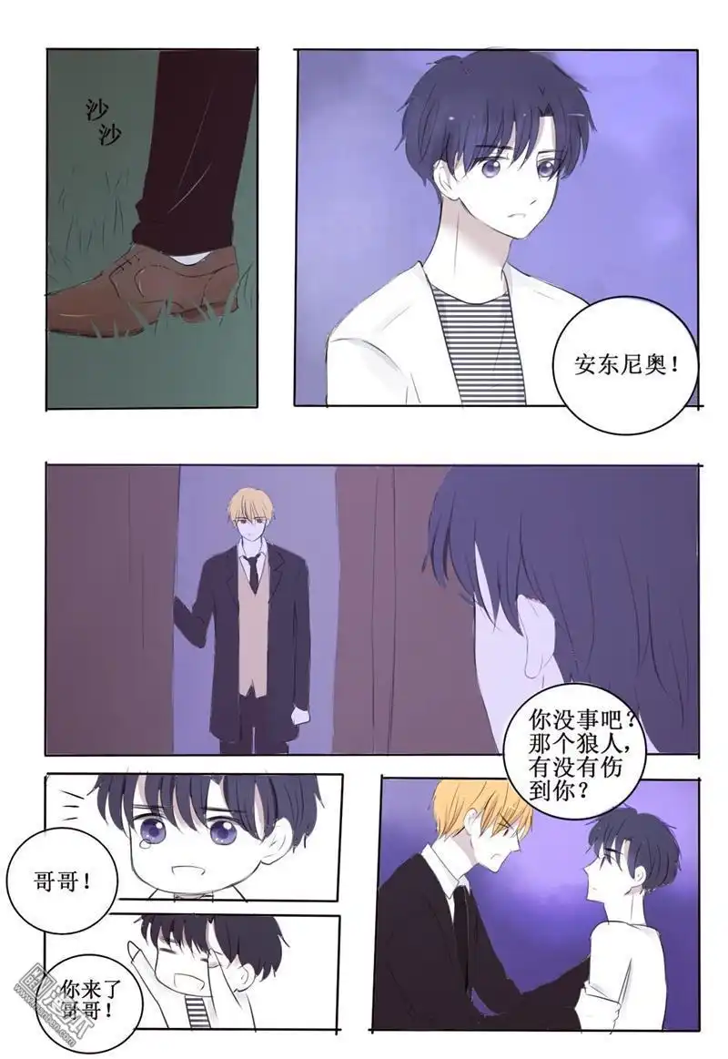 《兄长大人请吸血》第4回 心机狼人boy 第19页