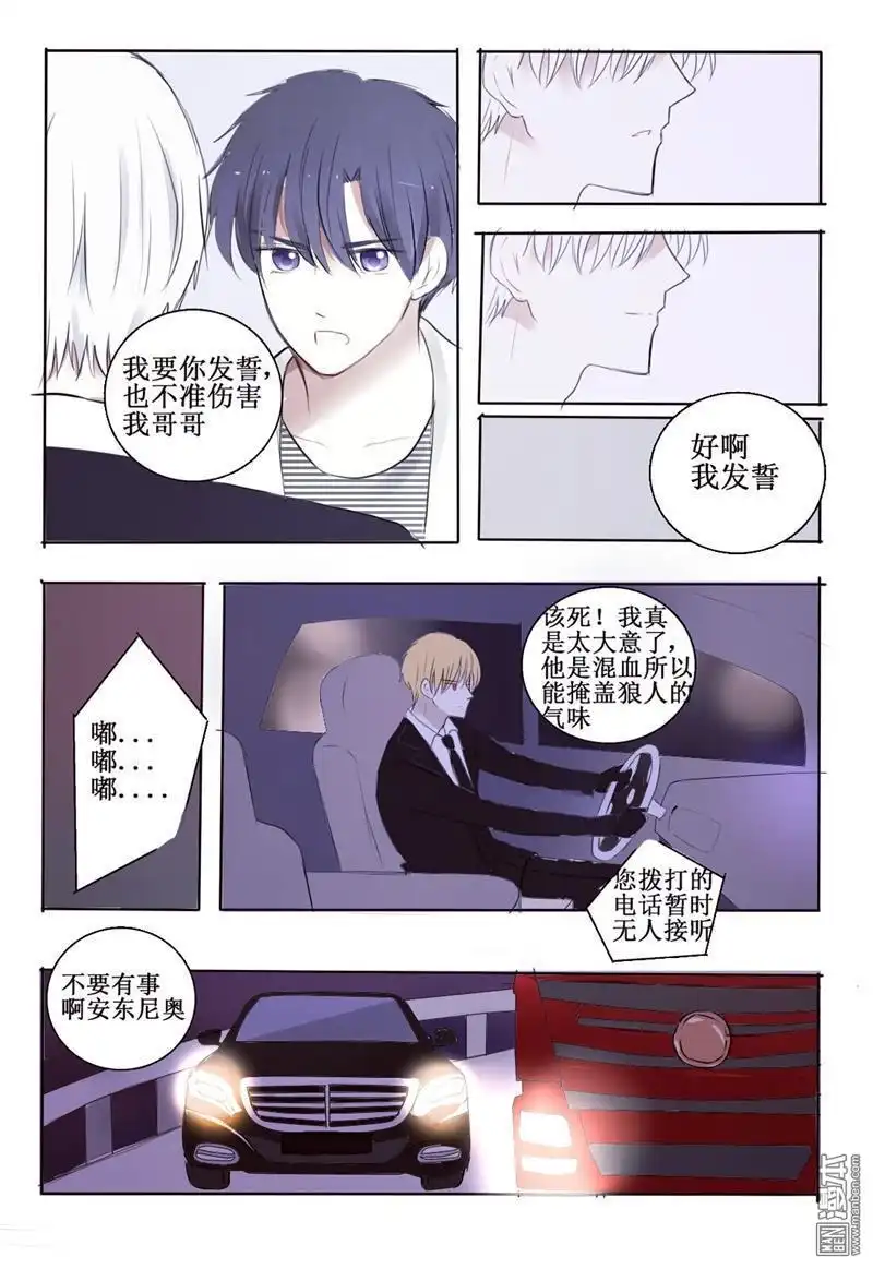《兄长大人请吸血》第4回 心机狼人boy 第5页