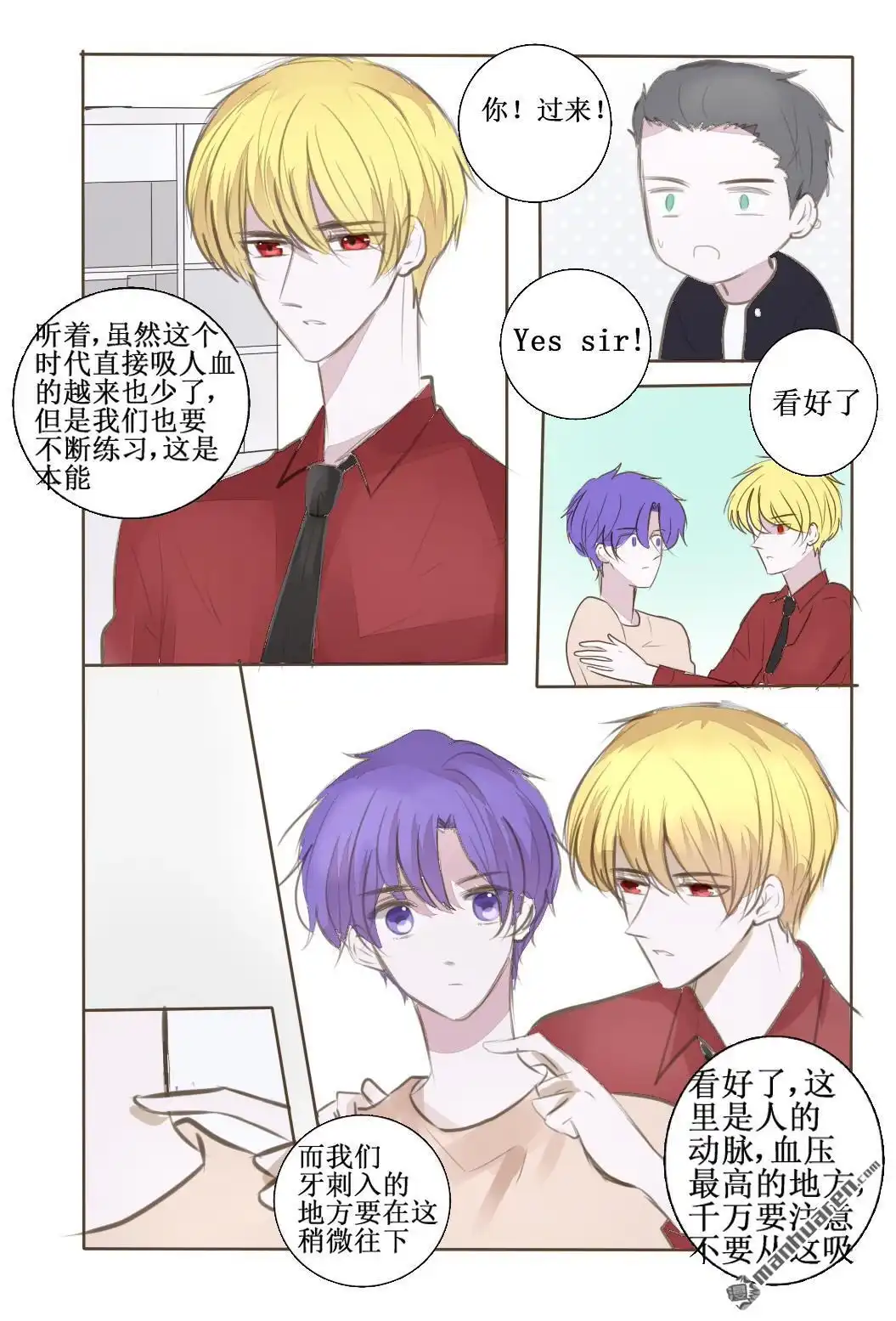 《兄长大人请吸血》第42回 恭喜黑猪加入黑暗眷属一员 第5页