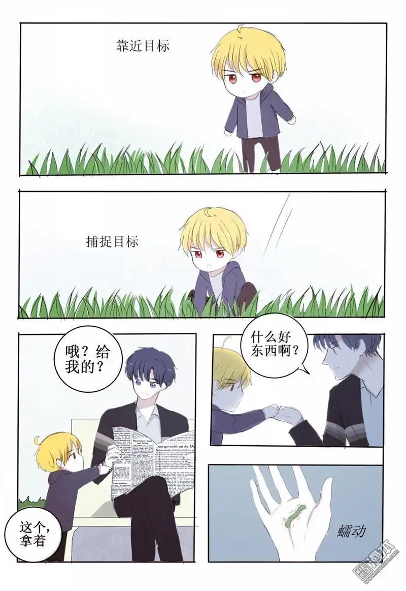 《兄长大人请吸血》第5回 兄长变萌娃 第11页