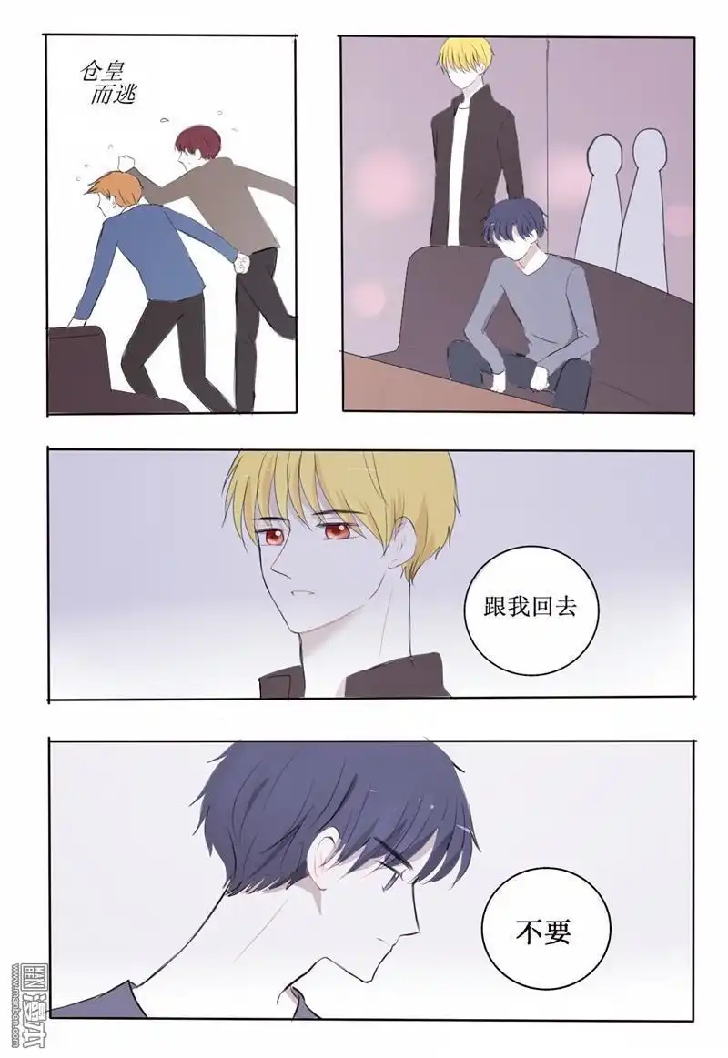 《兄长大人请吸血》第6回 我生气了要哥哥女装才能哄好 第8页