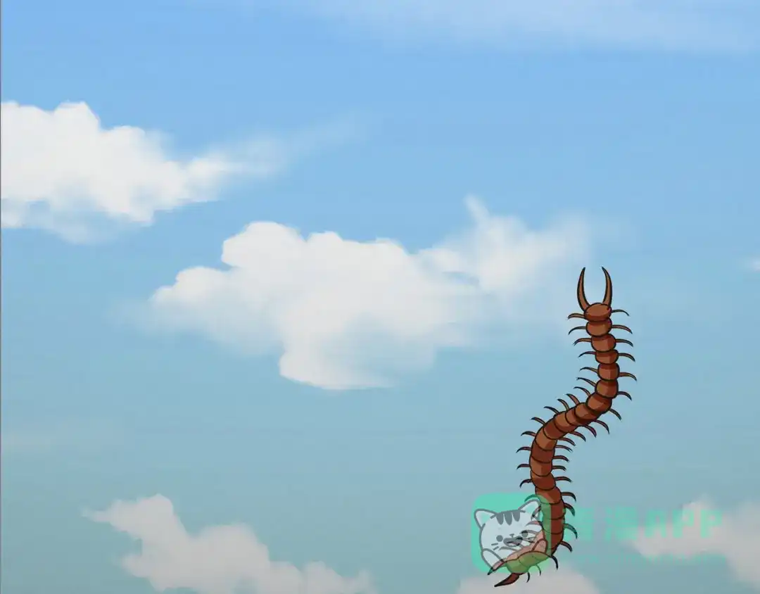 《修仙狂徒》第48话 喧宾夺主 第36页