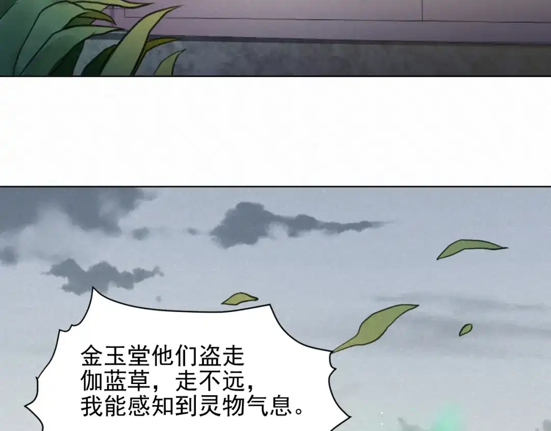 《修仙吗？要命的那种！》37 父亲的遗产 第10页