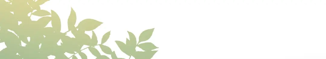 《修仙吗？要命的那种！》03 这是你的小说世界吗？ 第29页