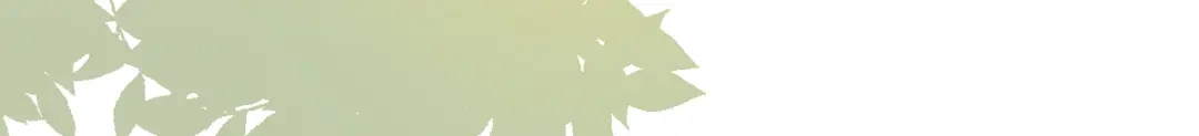 《修仙吗？要命的那种！》06 一jio踢你去跨年咯！ 第47页