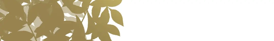 《修仙吗？要命的那种！》07 又苟了一条命 第26页