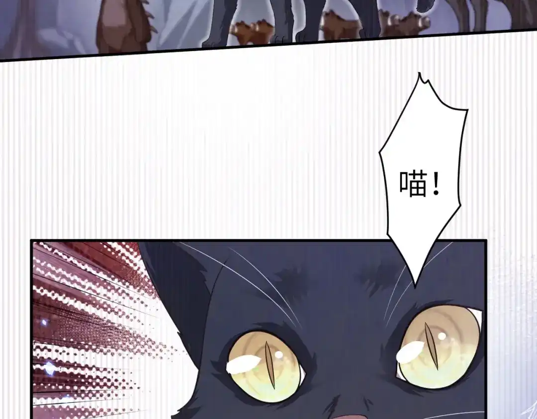 《修真奶爸惹不起》第108话 千年前的真相  第147页