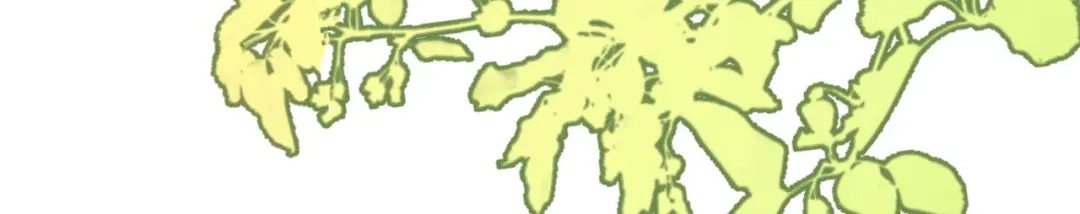 《修真奶爸惹不起》第76话 我怀疑你在撒狗粮 第69页