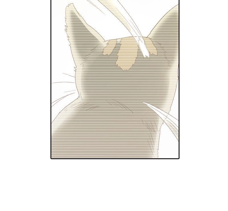 《吸血鬼新娘》第16回 吸血鬼新娘 第21页