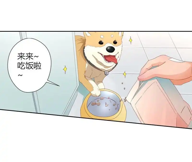 《吸血鬼新娘》第29回 吸血鬼新娘 第31页