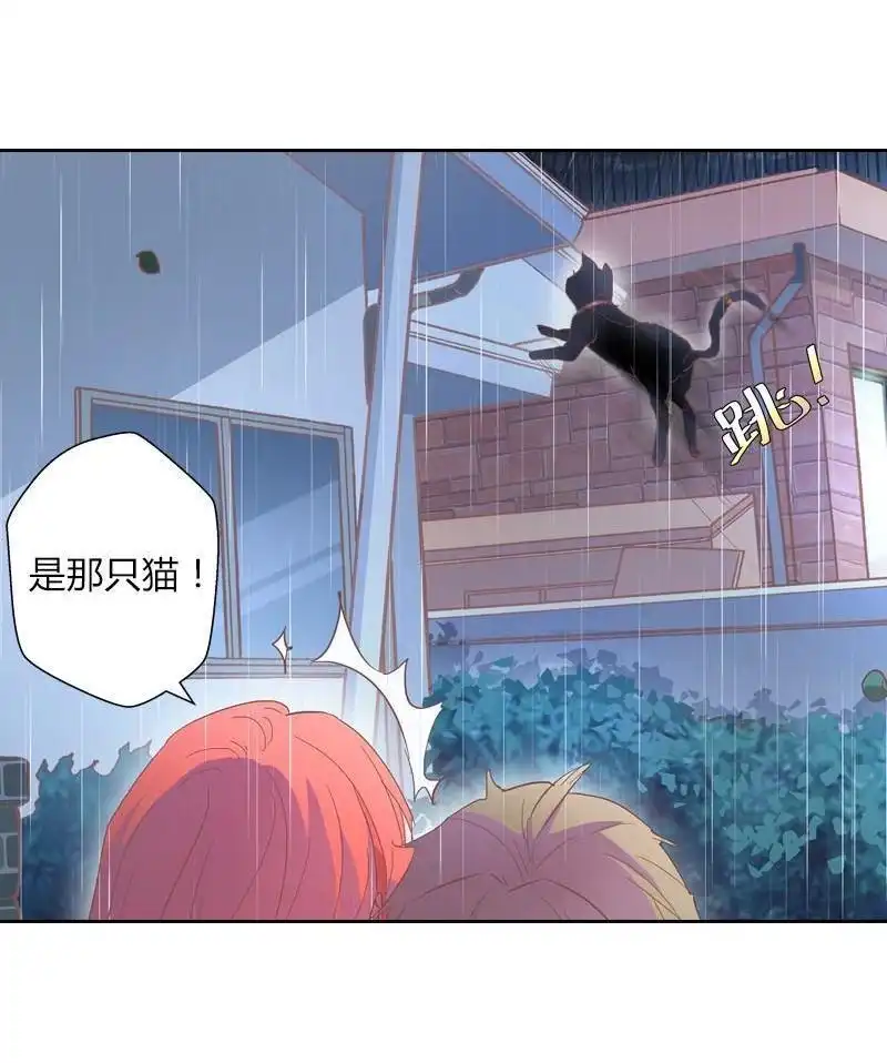 《吸血鬼新娘》第32回 吸血鬼新娘 第24页