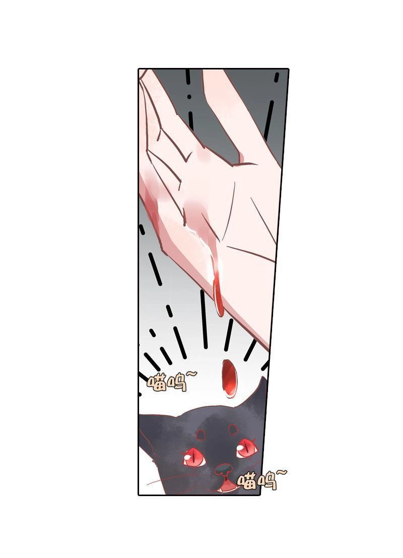 《吸血鬼新娘》第34回 吸血鬼新娘 第44页