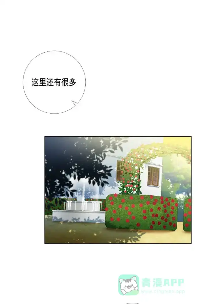 《吸血鬼与女仆》[第15话] 只有空壳 第21页