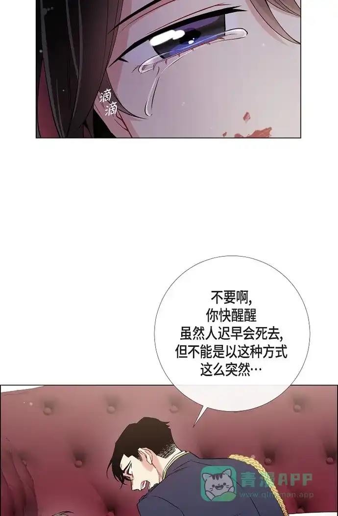 《吸血鬼与女仆》[第30话] 我不允许你死 第19页
