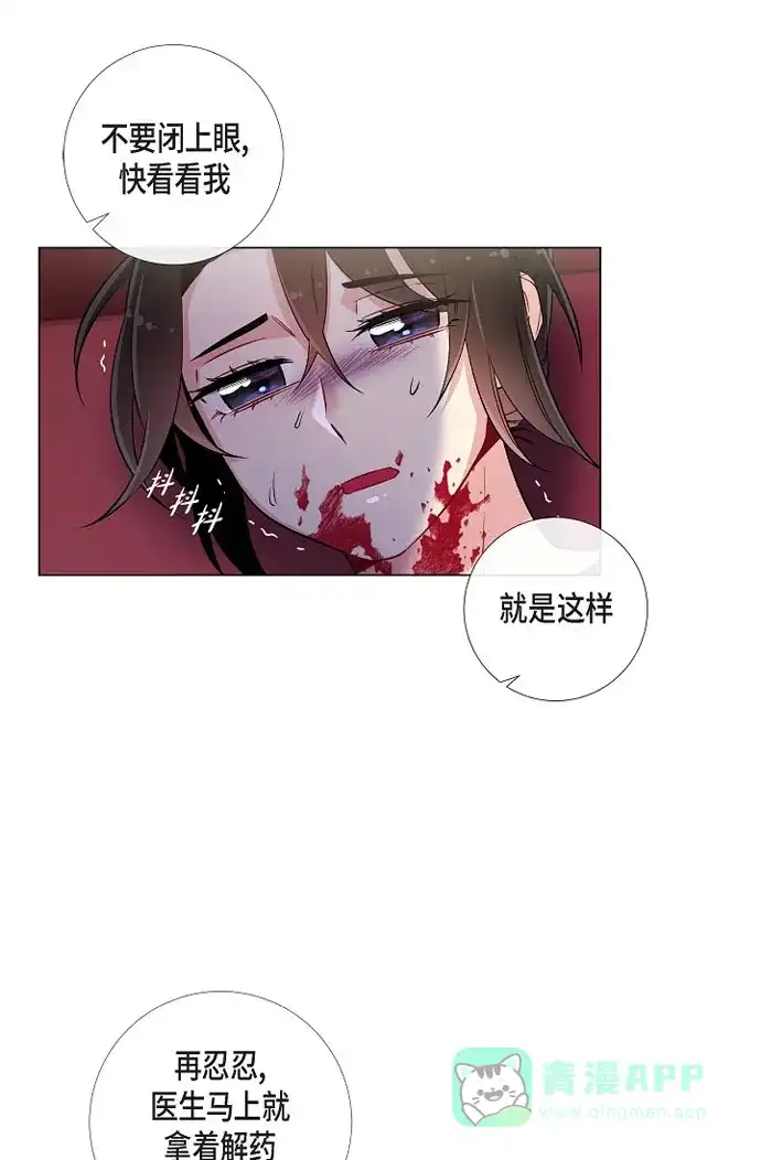 《吸血鬼与女仆》[第30话] 我不允许你死 第15页