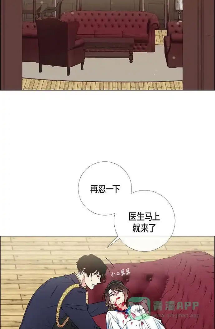 《吸血鬼与女仆》[第30话] 我不允许你死 第13页
