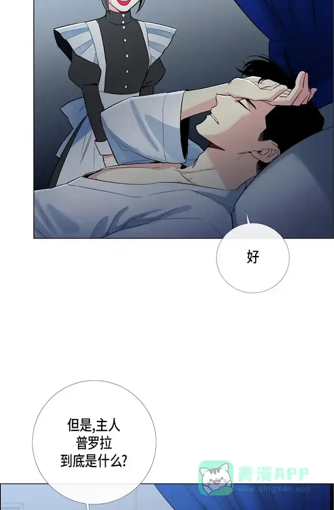 《吸血鬼与女仆》[第4话] 你知道法令吗 第44页