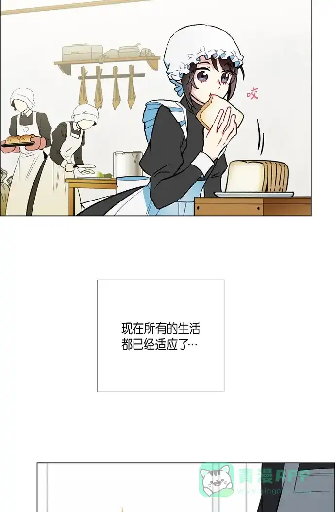《吸血鬼与女仆》[第4话] 你知道法令吗 第5页