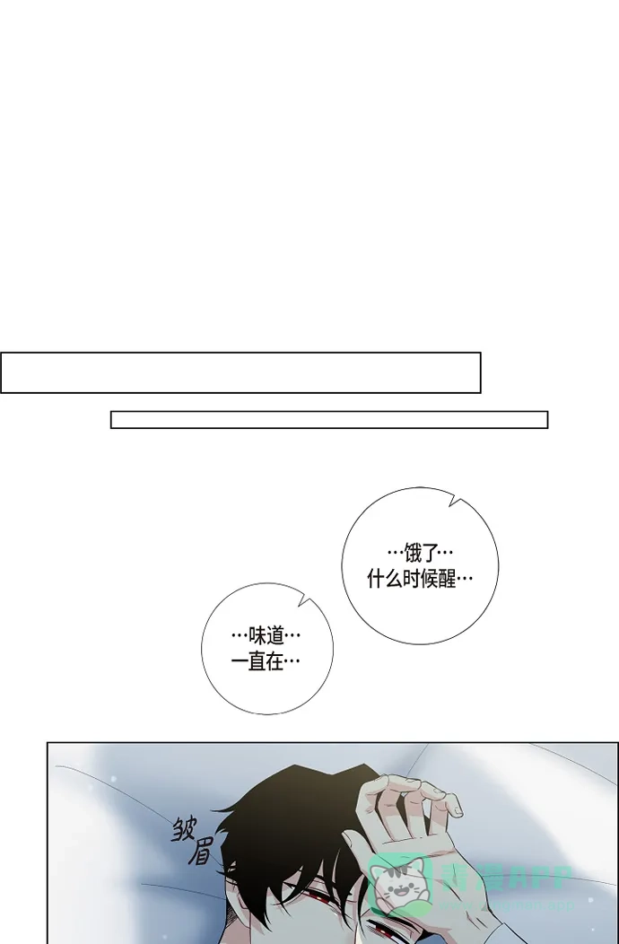 《吸血鬼与女仆》[第43话] 一直喜欢你 第47页