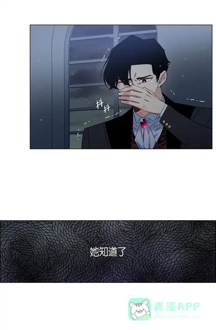 《吸血鬼与女仆》[第48话] 解释 第2页