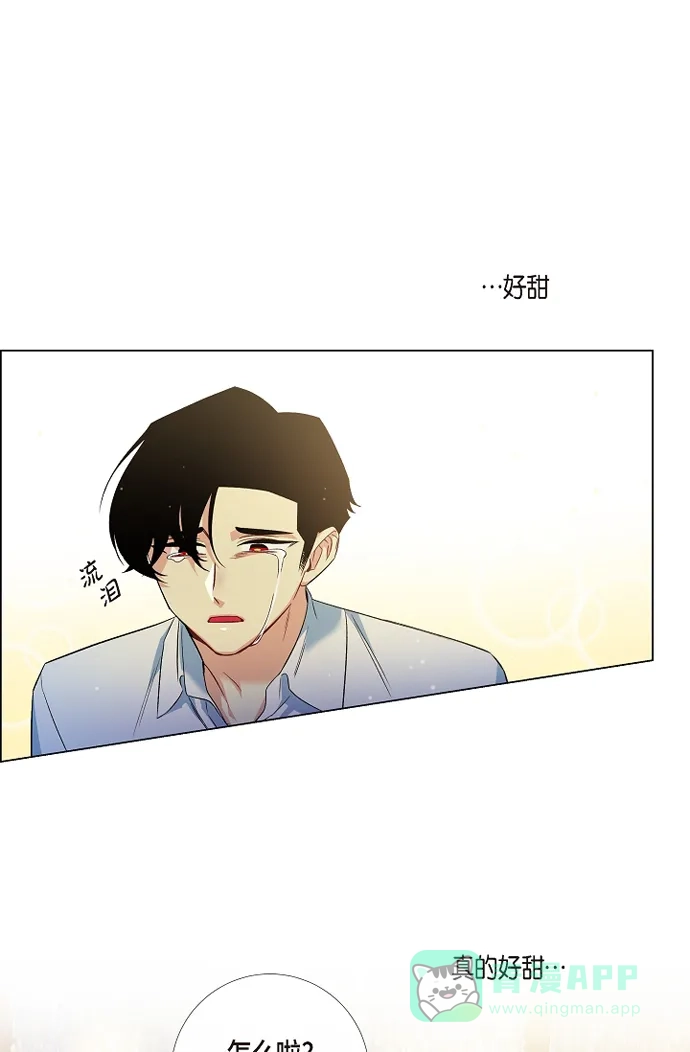 《吸血鬼与女仆》[第53话] 番外2 第46页