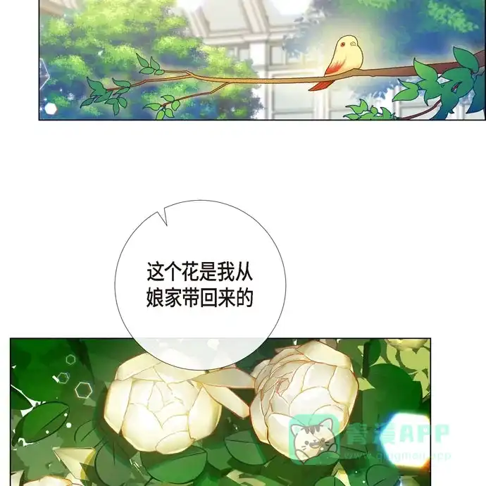 《吸血鬼与女仆》[第60话] 番外9 第36页