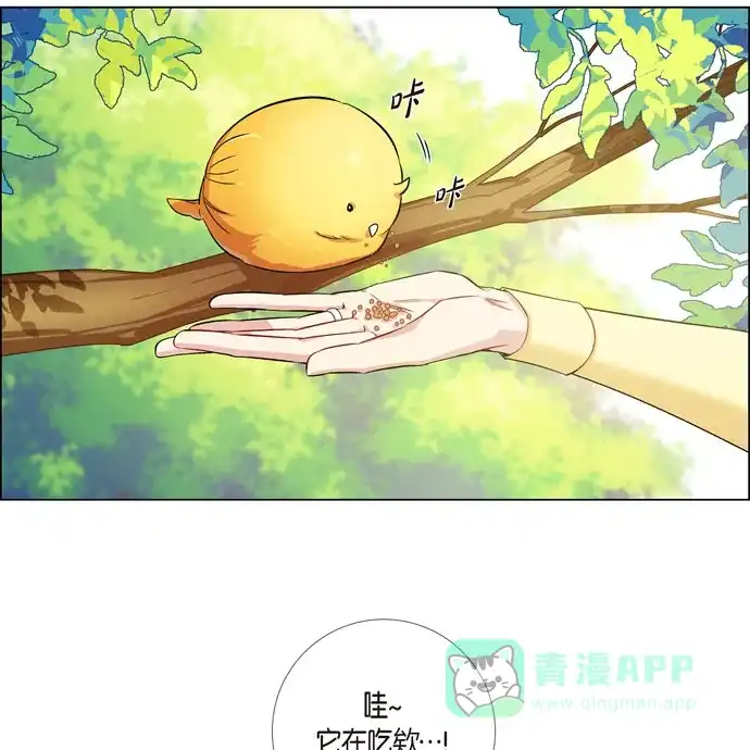 《吸血鬼与女仆》[第60话] 番外9 第61页