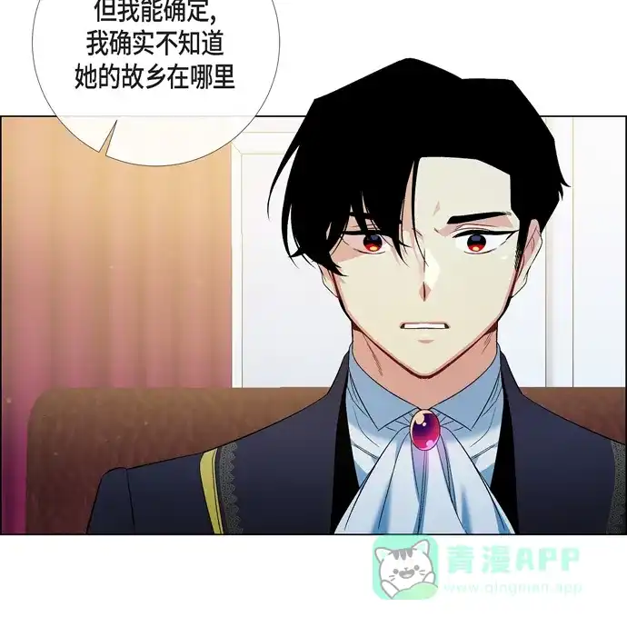 《吸血鬼与女仆》[第72话] 番外21 第40页
