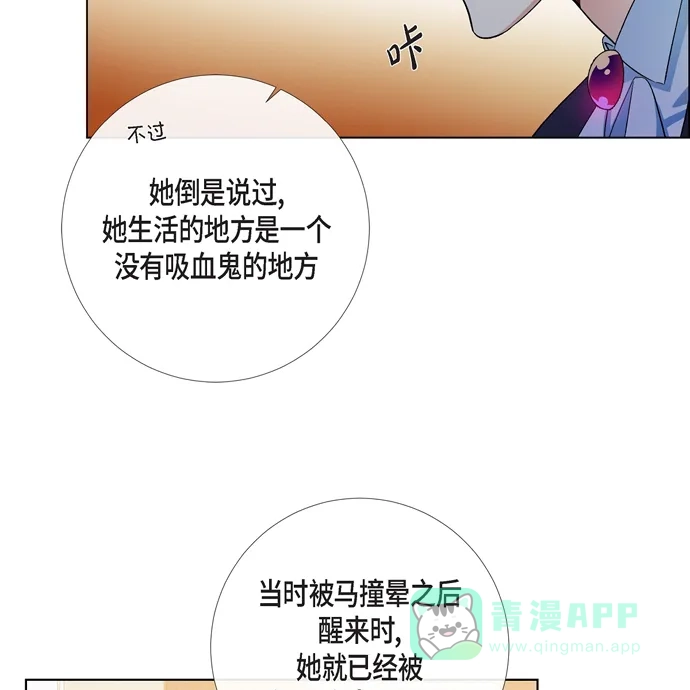 《吸血鬼与女仆》[第72话] 番外21 第45页