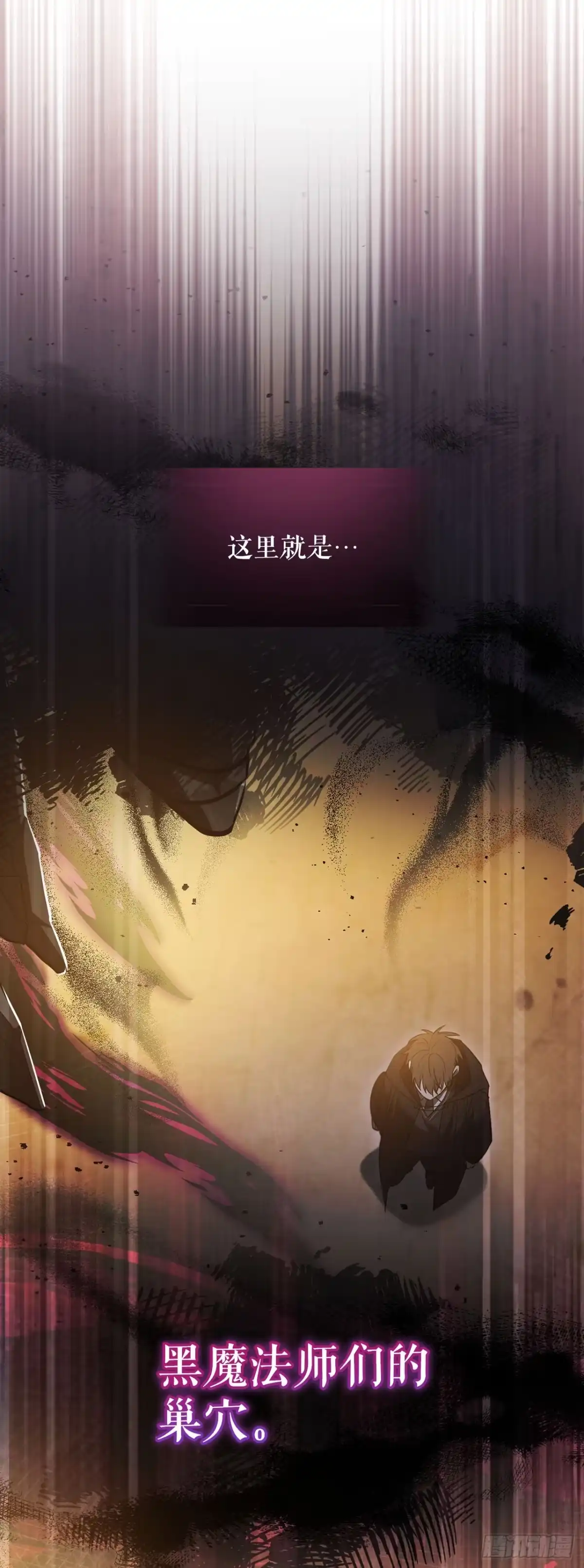 学院里的天才驯兽师 1.重生 第12页