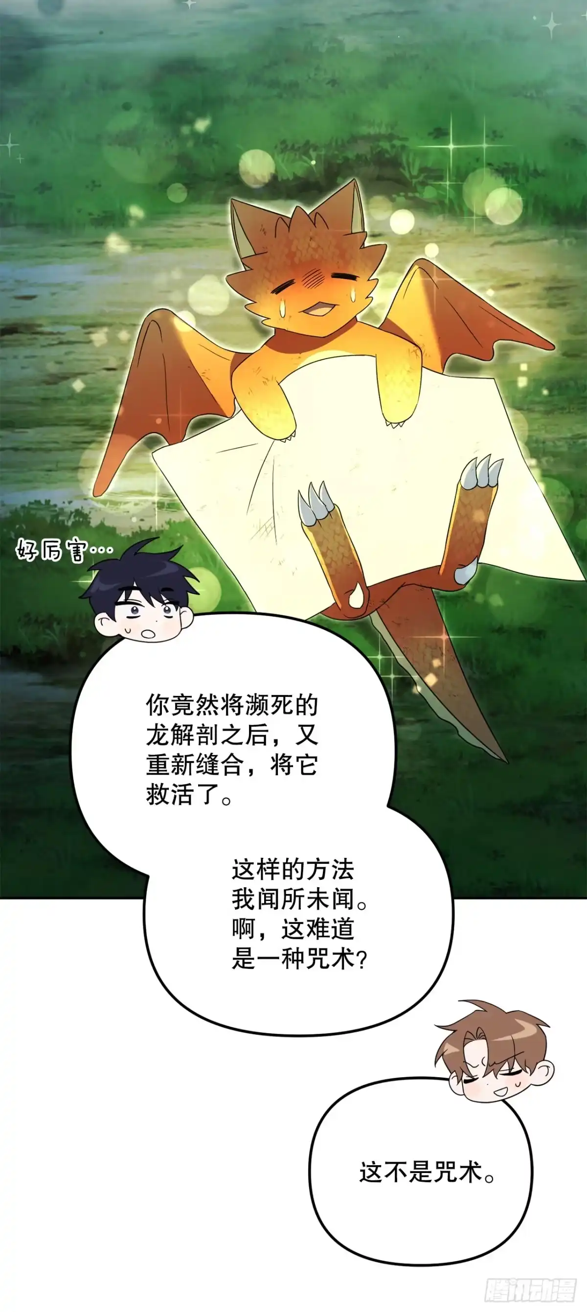 学院里的天才驯兽师 23.审判 第14页