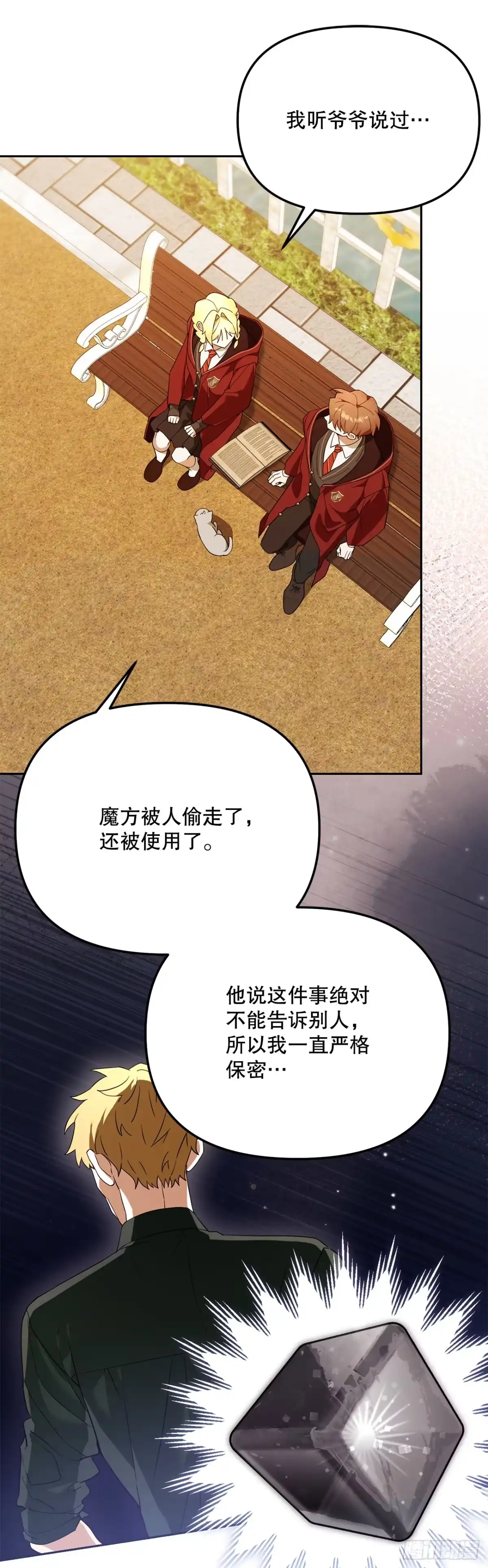 学院里的天才驯兽师 35.魔方之谜 第12页