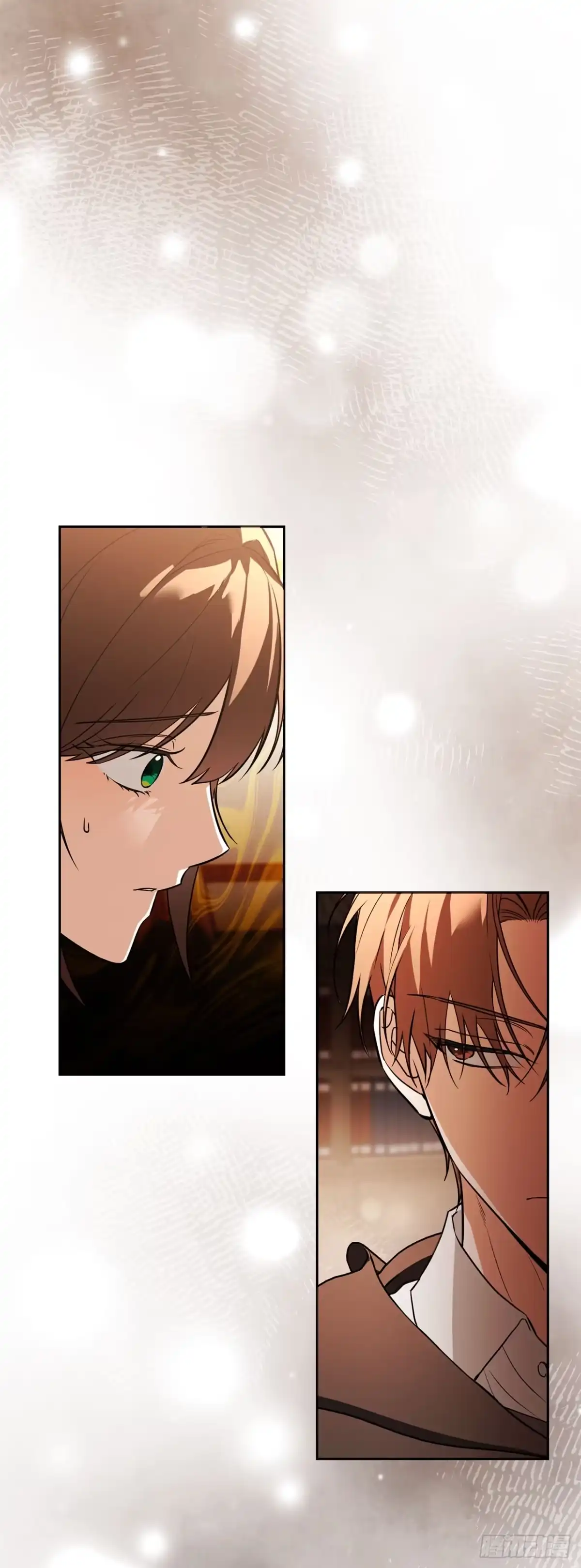 《学院里的天才驯兽师》64.可疑地图 第40页