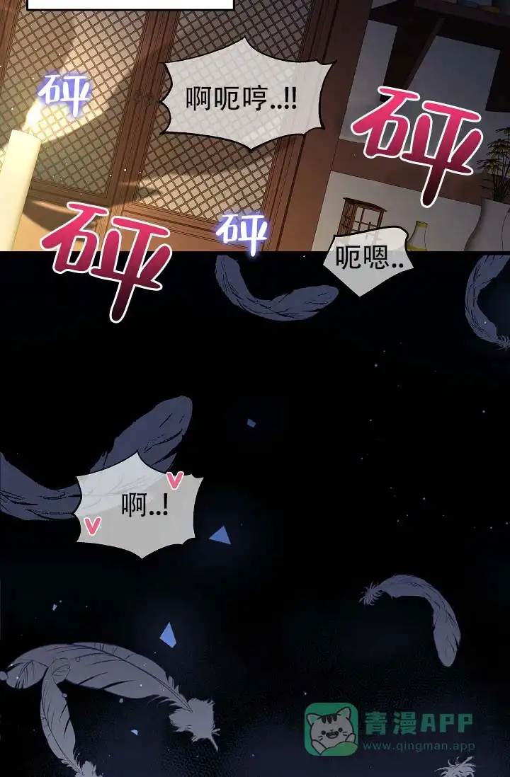 《驯兽恋歌（完结)》第1话 第11页