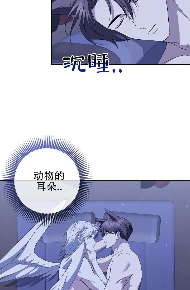 《驯兽恋歌（完结)》第11话 第3页